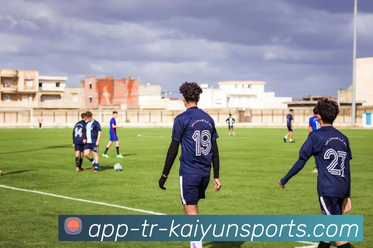 开云app服务体系