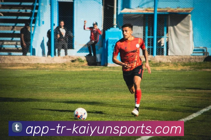 多媒体互动体验